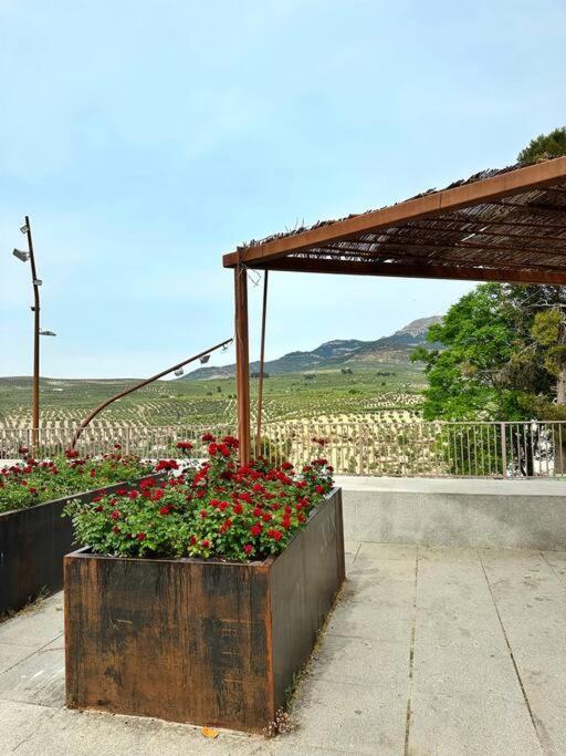 Los Molinos Quesada Ngoại thất bức ảnh